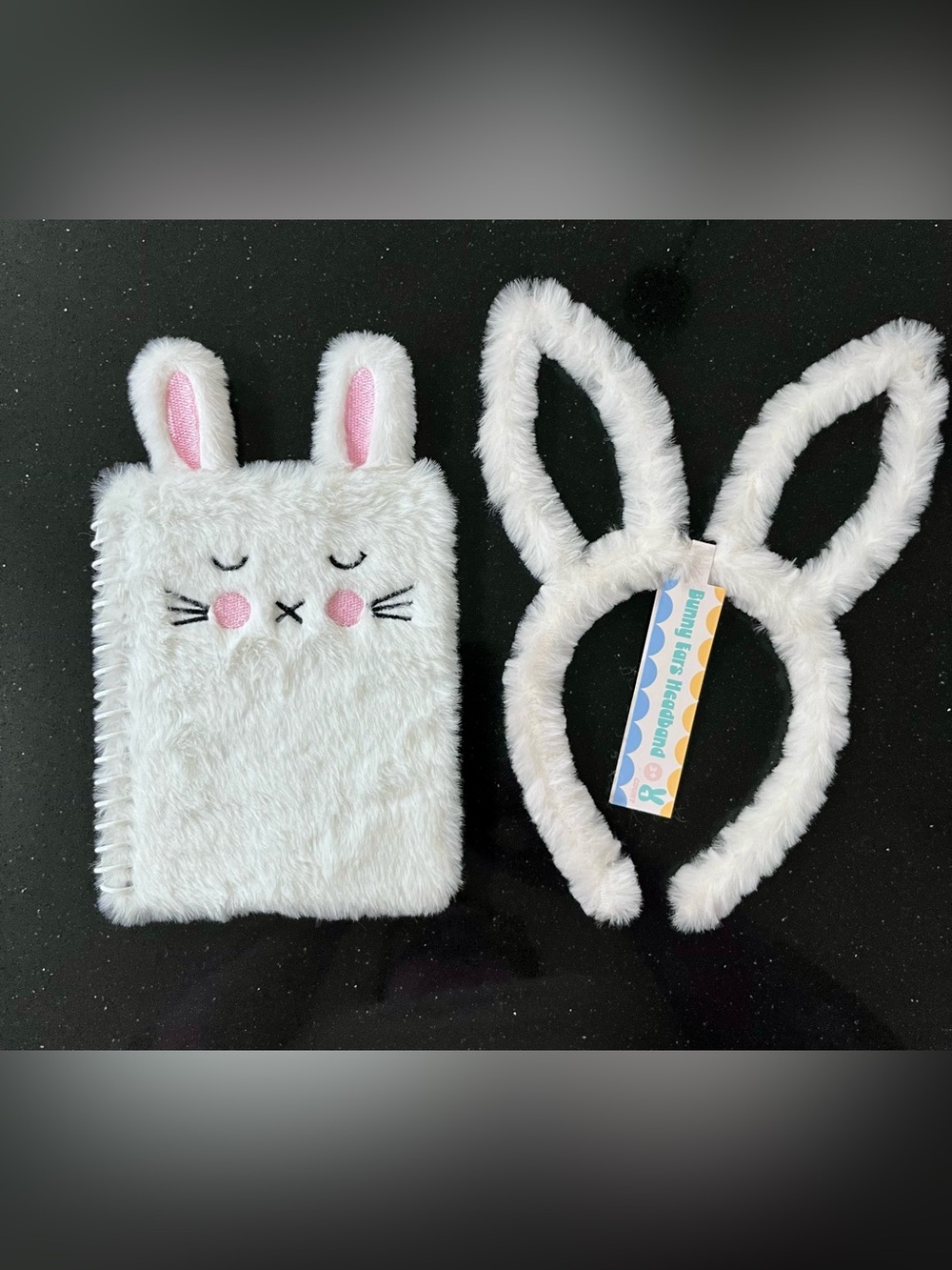 Kid’s Bunny Ear Headband & Matching Notebook costume, Halloween, dress up